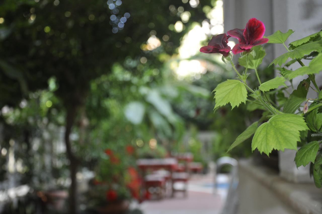 Hotel Villa Casablanca Bahtili Eksteriør bilde